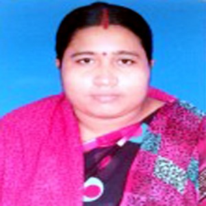 Sholla School College Teacher